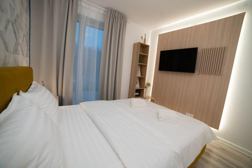 Carpe Diem Travel Timisoara Exterior photo